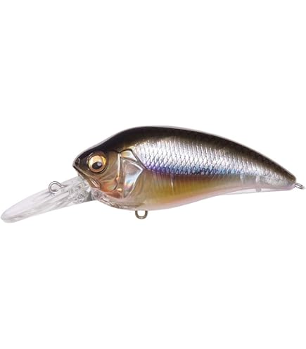 Amazon.com : Megabass Super-Z Z-2 Deep Diving Crankbait - GG